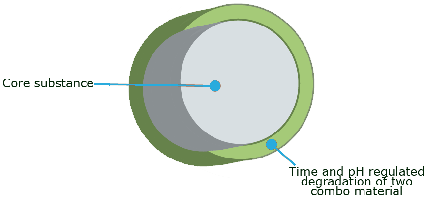 A simple graph displaying layers of a capsule